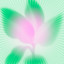 Plant Spirits