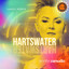 Hartswater - JaKeS Remix artwork