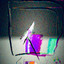 Unknown Title cover