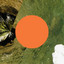 Swimmer - Kaitlyn Aurelia Smith Remix