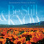 Worship Ensemble - Be Still And Know