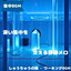 Focus Forest - Working BGM — Pleasant Sound for Afternoon Work cover art
