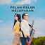 Pelan Pelan Melupakan cover
