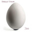 Egg cover