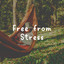 Free from Stress cover