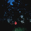 Sam Gellaitry - LONGING