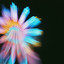 Without feat. Felicia Douglass - Tim Green Remix