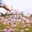 Spring Vibes 2022 cover