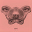 Srnka cover