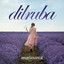 Dilruba cover
