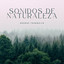 Sonidos De Naturaleza: Bosque Tranquilo cover