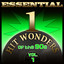 Essential One-Hit Wonders of the 90s-Vol.1 cover