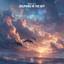 Dolphins In The Sky artwork