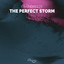 The Perfect Storm cover