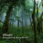 Relaxation: Mesmerizing Early Morning Rain Vol. 1 cover