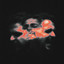 2026-5-18 :15 - MU40473
