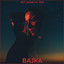 BAJKA cover