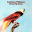 Over Fly Over cover