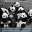 The Second Fierce Panda EP Club EP cover