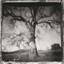 Daylight Breaking cover