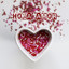 Hola Amor cover