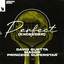 Princess Superstar/David Guetta/Mason - Perfect