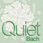Concerto in G Minor, BWV 1056R: II. Largo (Arr. by Winfired Radeke) cover