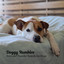 Doggy Rumbles: Rain and Thunder Sounds for Dogs cover