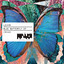 Blue Butterfly - Tulum Mix