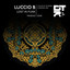 Lost in Funk - Luccio B 2026 Remix