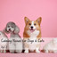 Calming Noises for Dogs & Cats Vol. 2 cover