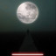 Transcendence cover