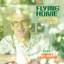Jayson Tipp - Flying Home ft. Grant Geissman
