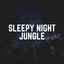 Sleepy Night Jungle cover