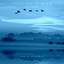Julie Hanney - Free as a Bird (Felt Version)