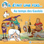 Au temps des Gaulois : Les druides cover