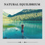 Natural Equilibrium cover