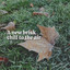 A New Brisk Chill to the Air cover