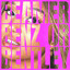TARIA - Beamer, Benz Or Bentley