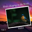 Nature: Birds Chirping in the Woods Vol. 1 cover