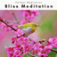 4 Bliss Meditation cover