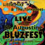 Live At the St. Augustine Bluzfest cover