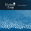 A Lifetime of High Fives cover