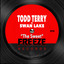 The sweet (Remix) Todd Terry & Swan Lake