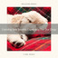 Calming Sea Sounds Especially For Our Dogs cover