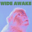 Pearl & The Oysters - Wide Awake (2026)
