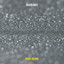 Silver Dust artwork