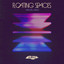 Floating Spaces - Salty Rub