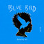 DRUMSTONE - Blue Bird