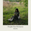 Suwon Yim - People Have Moments